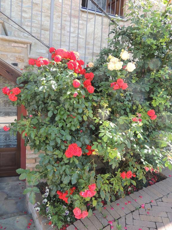 Da Fabiana Bed & Breakfast Bossolasco Bagian luar foto