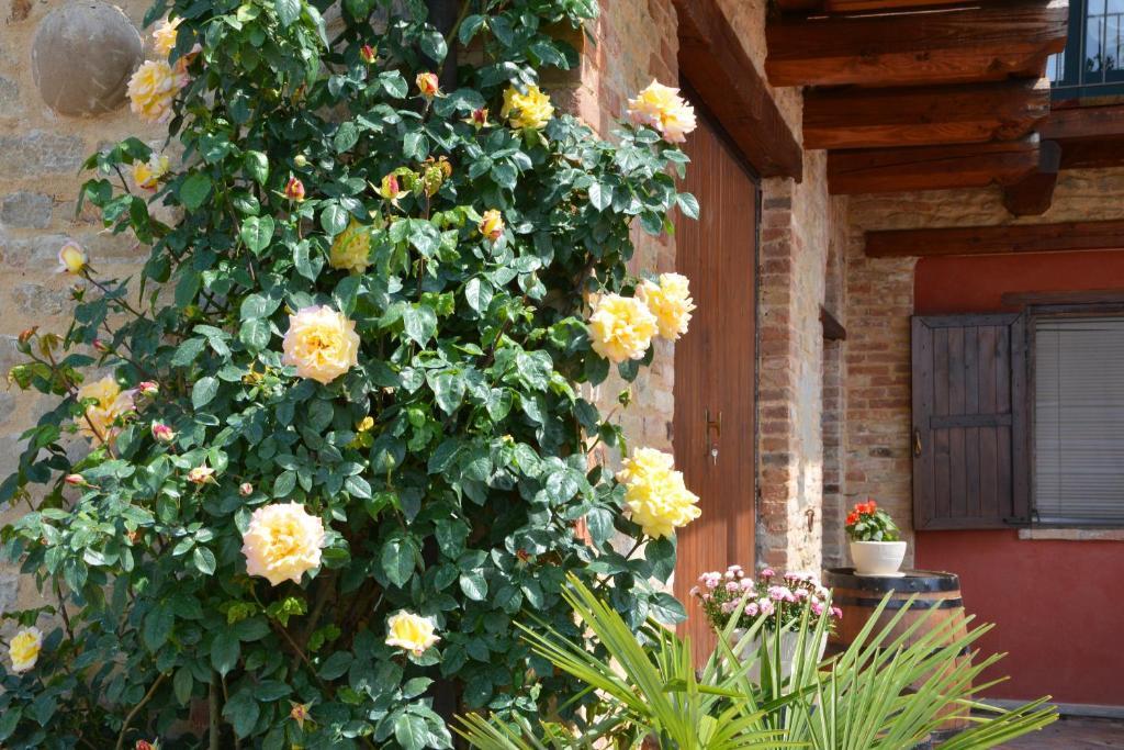 Da Fabiana Bed & Breakfast Bossolasco Bagian luar foto