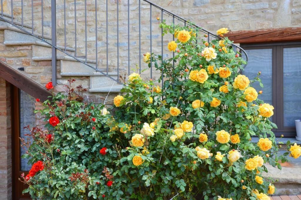 Da Fabiana Bed & Breakfast Bossolasco Bagian luar foto